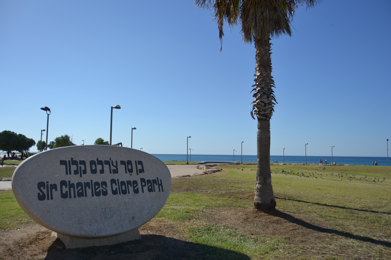 Wo kann man in Tel Aviv entspannen. Charles-Clore-Park